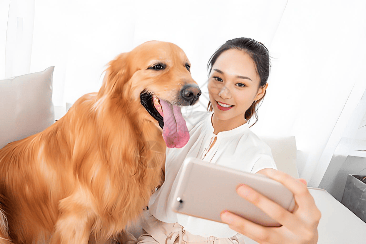 业链分析：现状、痛点、需求、趋势CQ9电子app宠物食品行业产(图1)