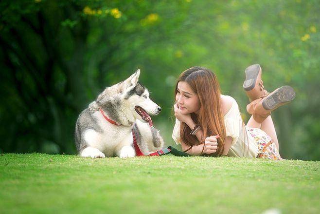 业链分析：现状、痛点、需求、趋势CQ9电子app宠物食品行业产(图2)