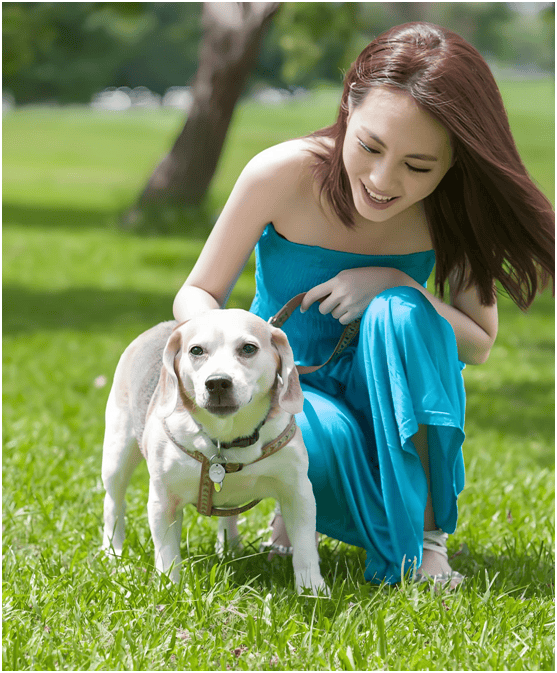 业链分析：现状、痛点、需求、趋势CQ9电子app宠物食品行业产(图3)