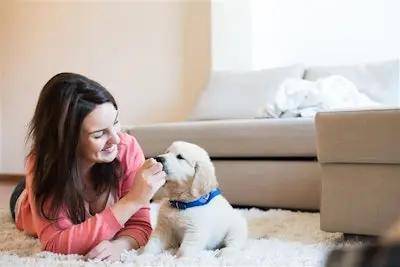 元的宠物食品市场进入价值驱动型转型CQ9电子有限公司墨西哥825亿美