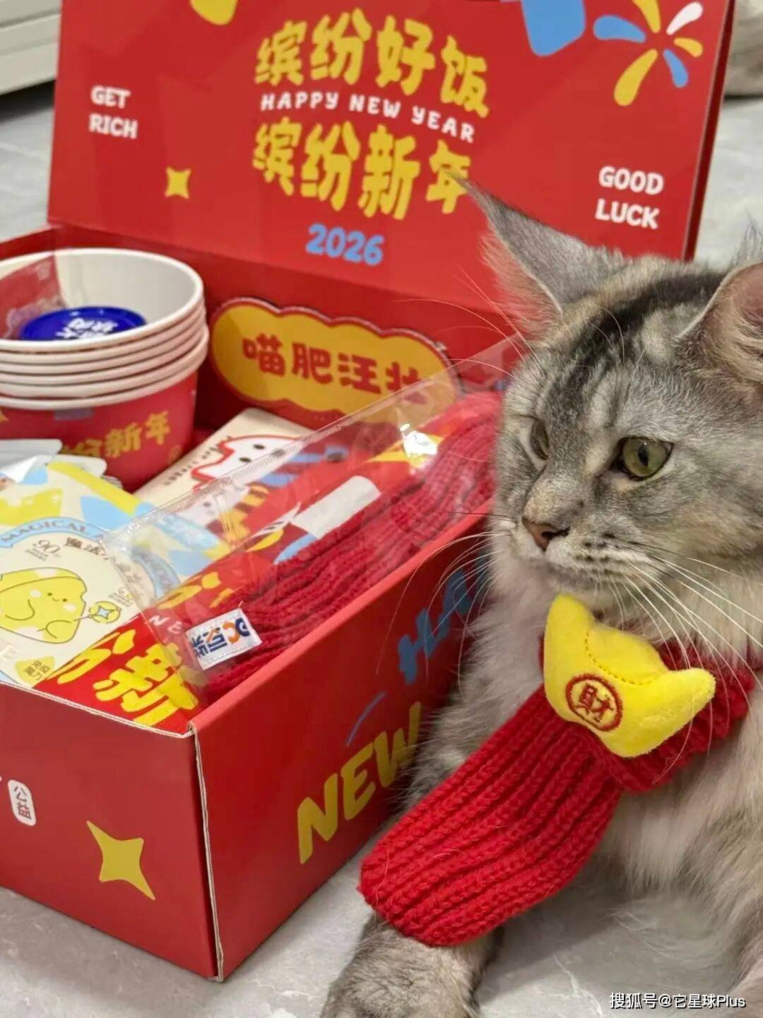 温暖:拆解宠物品牌CNY营销范例CQ9电子登录注册不谈促销只送(图9) 温暖:拆解宠物品牌CNY营销范例CQ9电子登录注册不谈促销只送(图9)