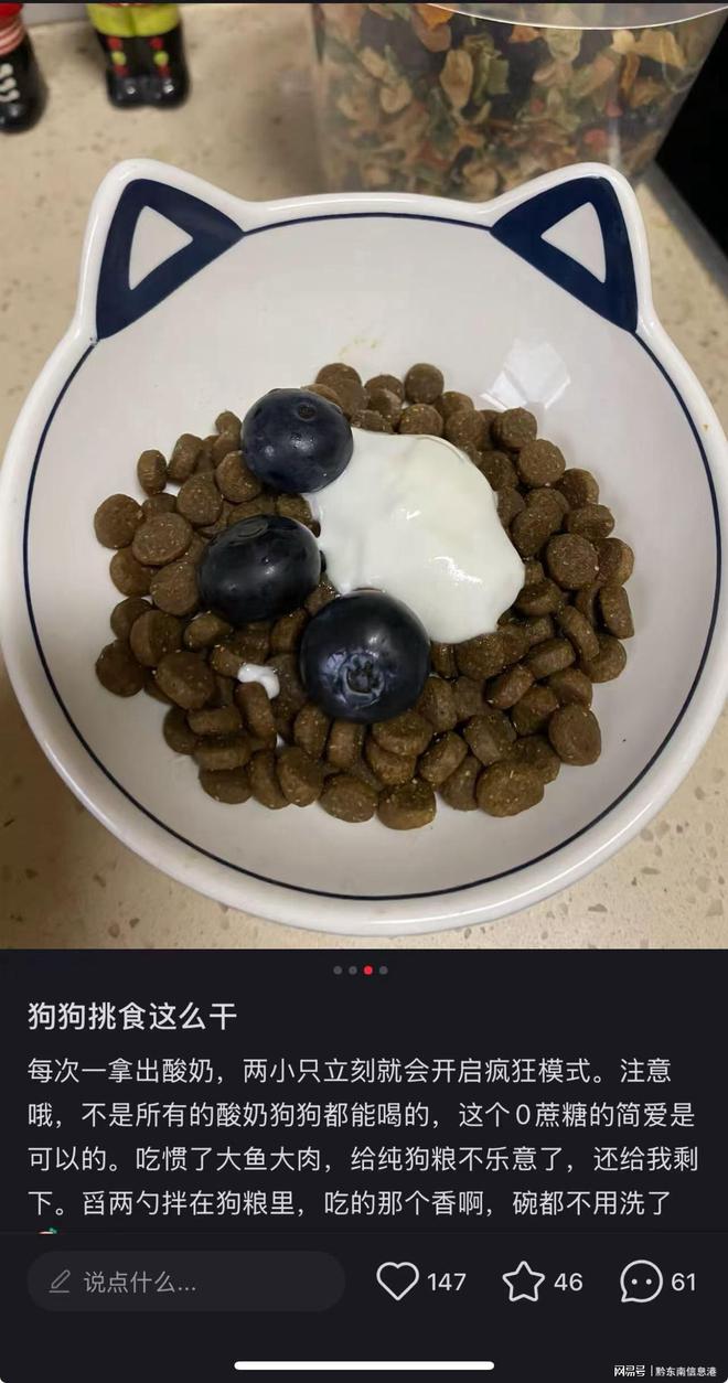 方”撬动萌宠经济与母婴信任双赛道CQ9传奇电子简爱酸奶以“纯净配(图2)