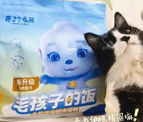 粮！三只松鼠靠什么重返宠物食品赛道CQ9电子游戏零食巨头盯上毛孩子口(图2)