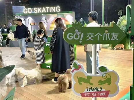鲜生丨宠物坐高铁侯毅下厨房CQ9电子有限公司实探派特(图2)